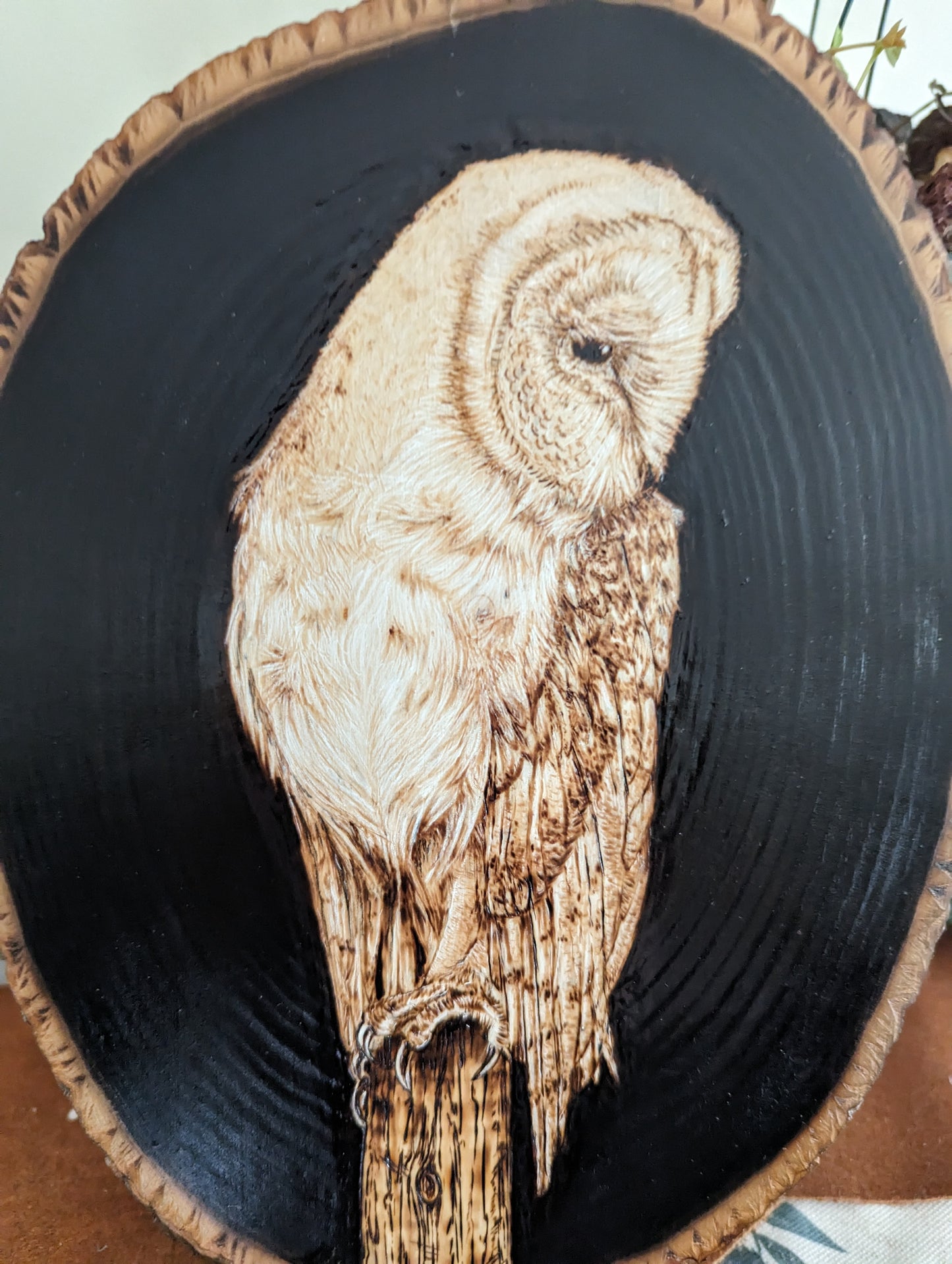 Enchanting Nightwatch: Barn Owl Pyrography Wall/Desk Art