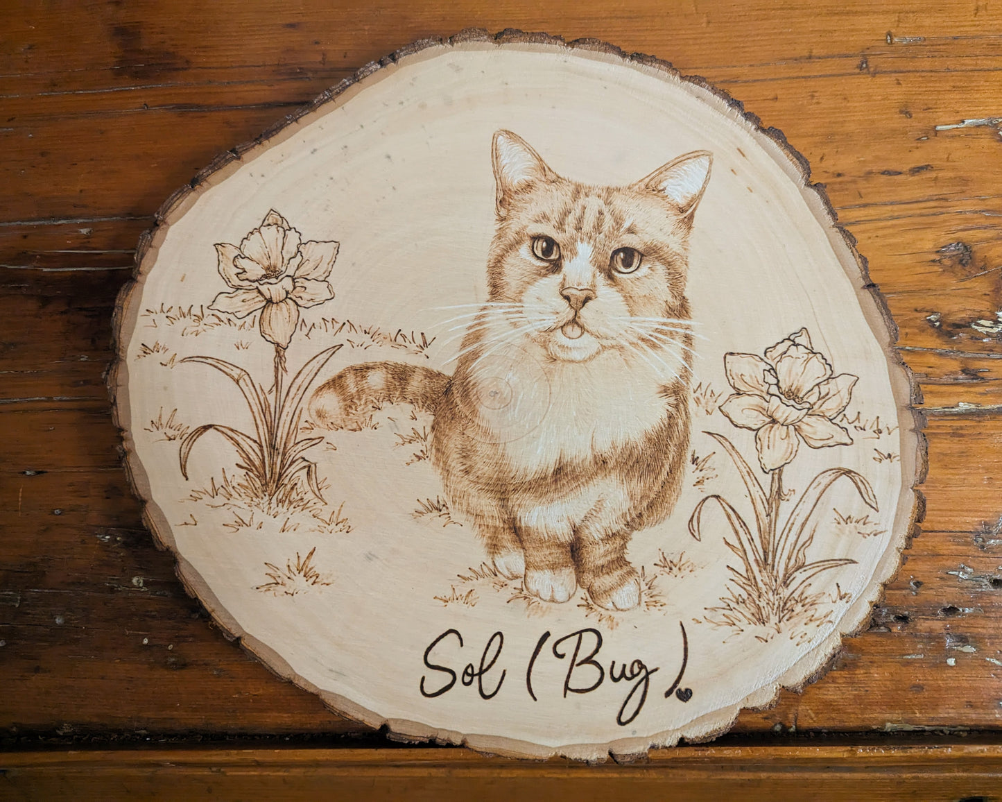 Sol (Bug) Custom Pet Portrait, Pyrography w/ Watercolors on Basswood
