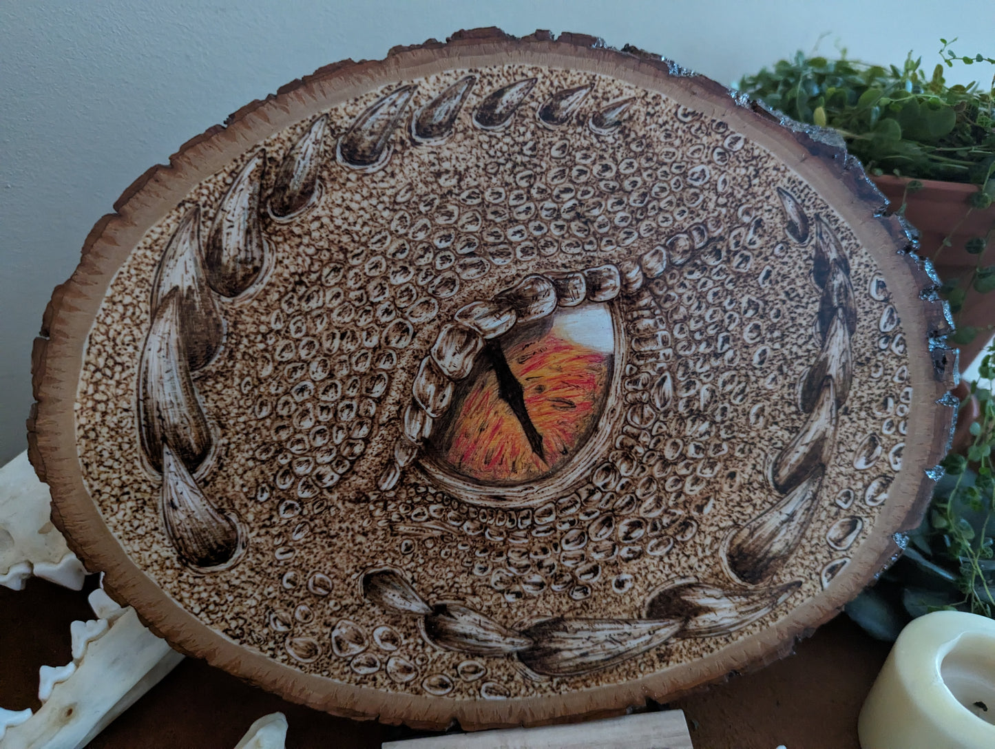 'Dragon's Eye' Pyrography Ember Eye on Wood Desk/Wall Art