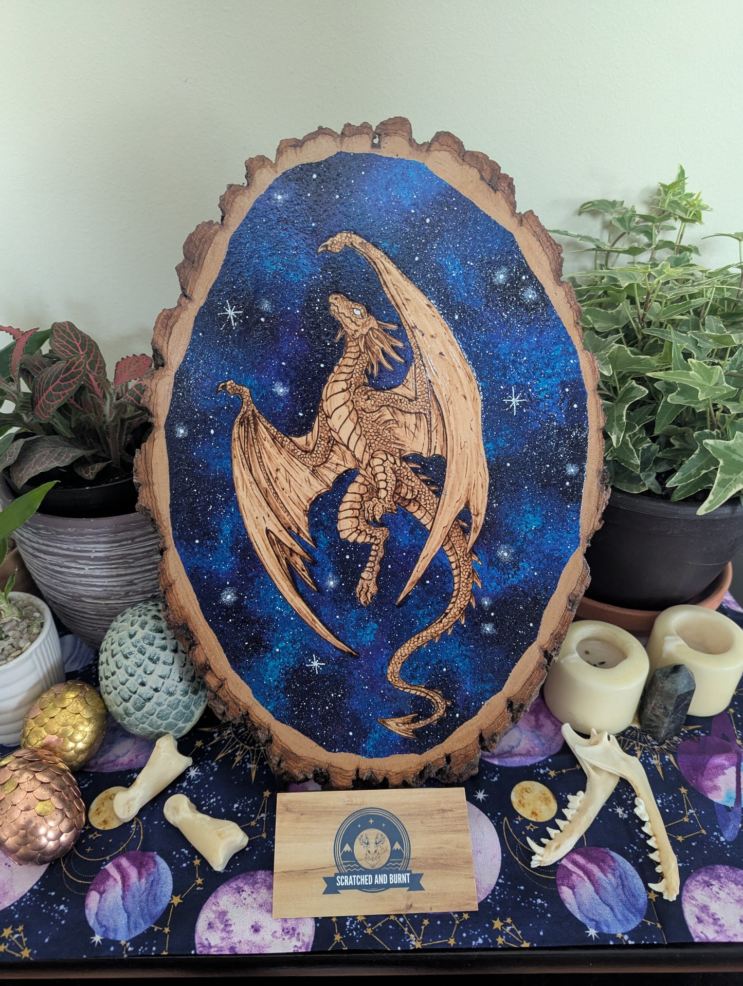 'Galaxy Dragon' Pyrography with Acrylics on Wood Desk/Wall Art