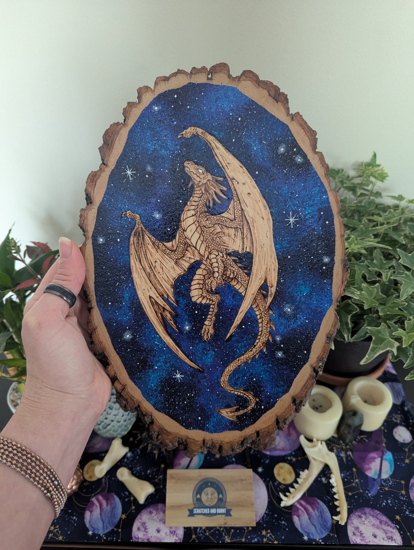 'Galaxy Dragon' Pyrography with Acrylics on Wood Desk/Wall Art