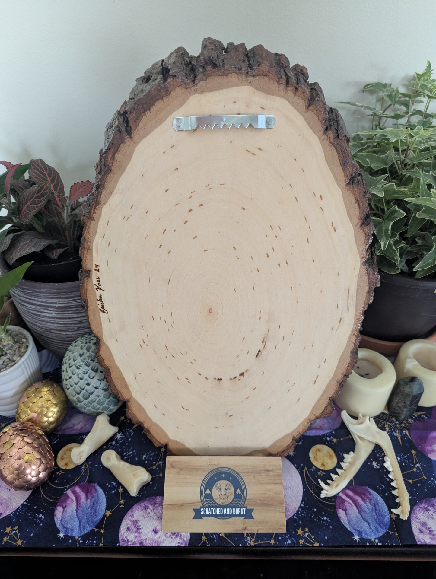 'Galaxy Dragon' Pyrography with Acrylics on Wood Desk/Wall Art