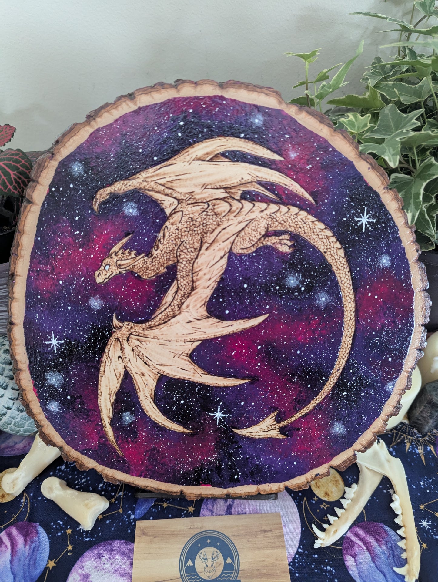 'Galaxy Dragon' Pyrography with Acrylics on Wood Desk/Wall Art