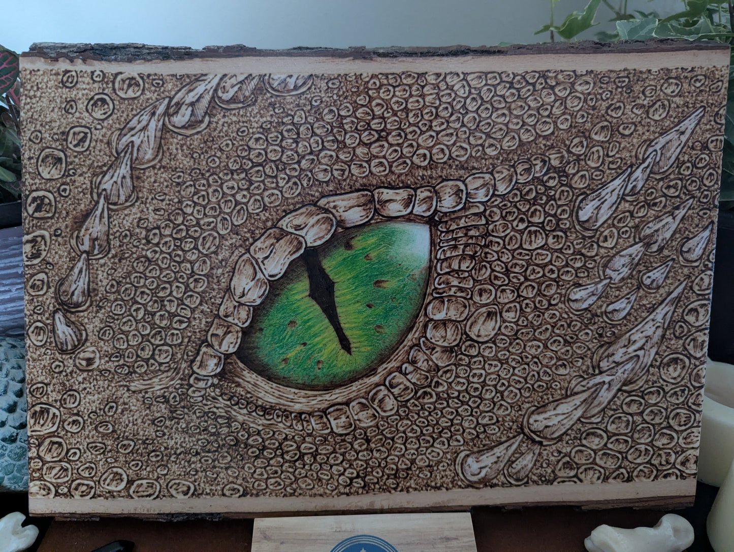'Emerald Gaze, The Watchful Dragon’s Eye' Pyrography on Wood, Desk/Wall Art