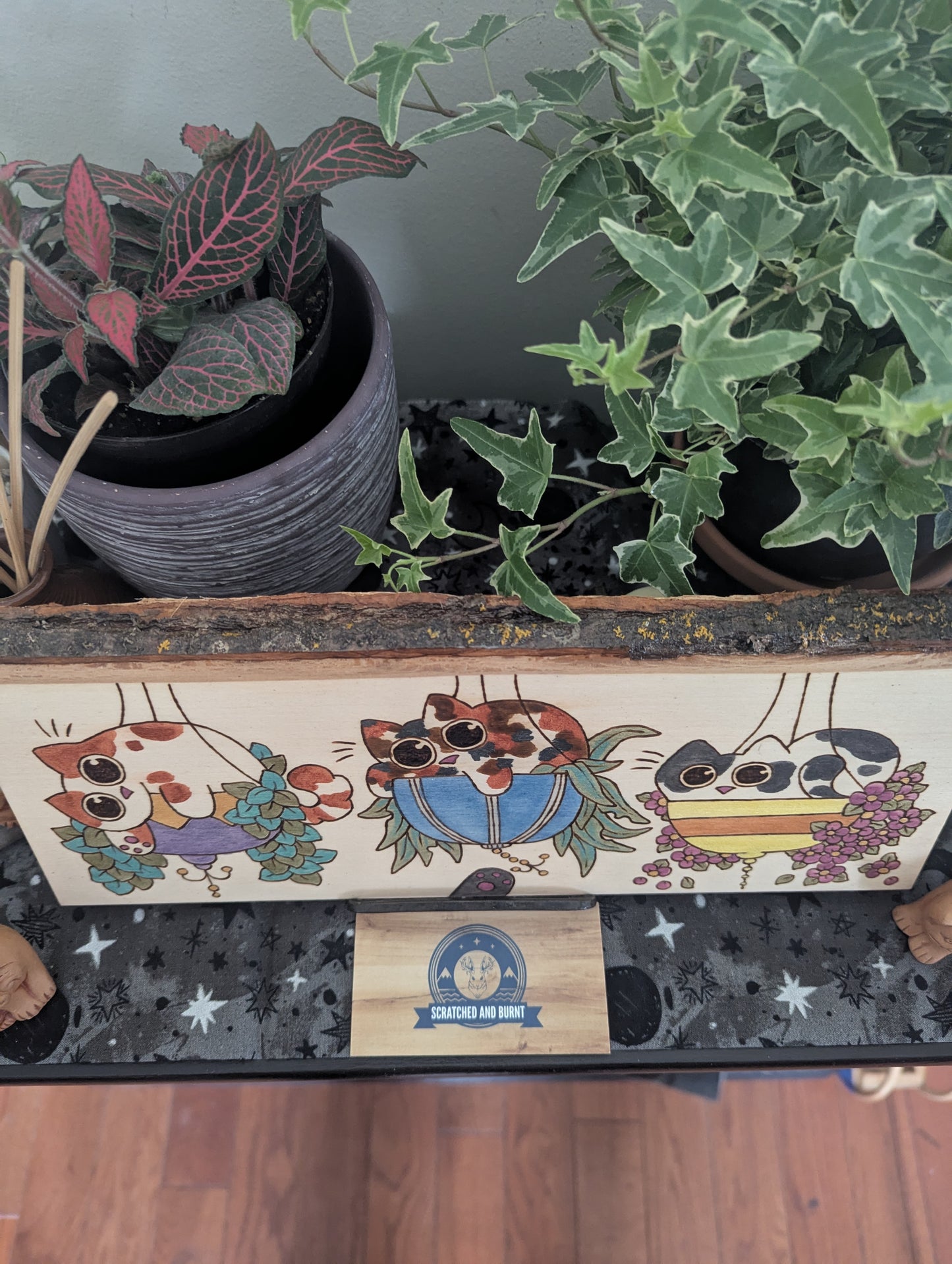 Cats in Plants, the Hanging Cat Trio, Pyrography, Watercolors on Wood, Desk/Wall Art
