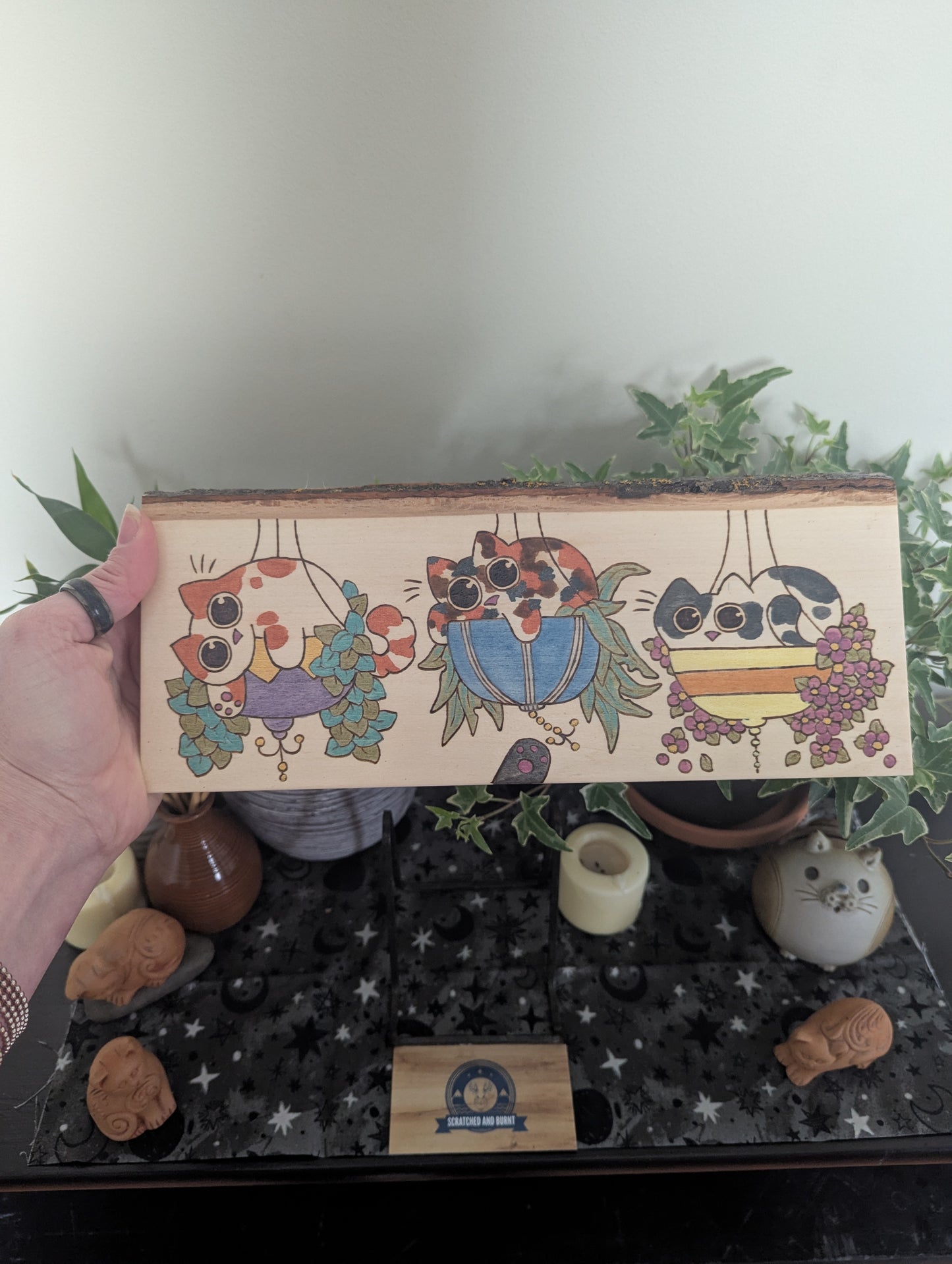 Cats in Plants, the Hanging Cat Trio, Pyrography, Watercolors on Wood, Desk/Wall Art