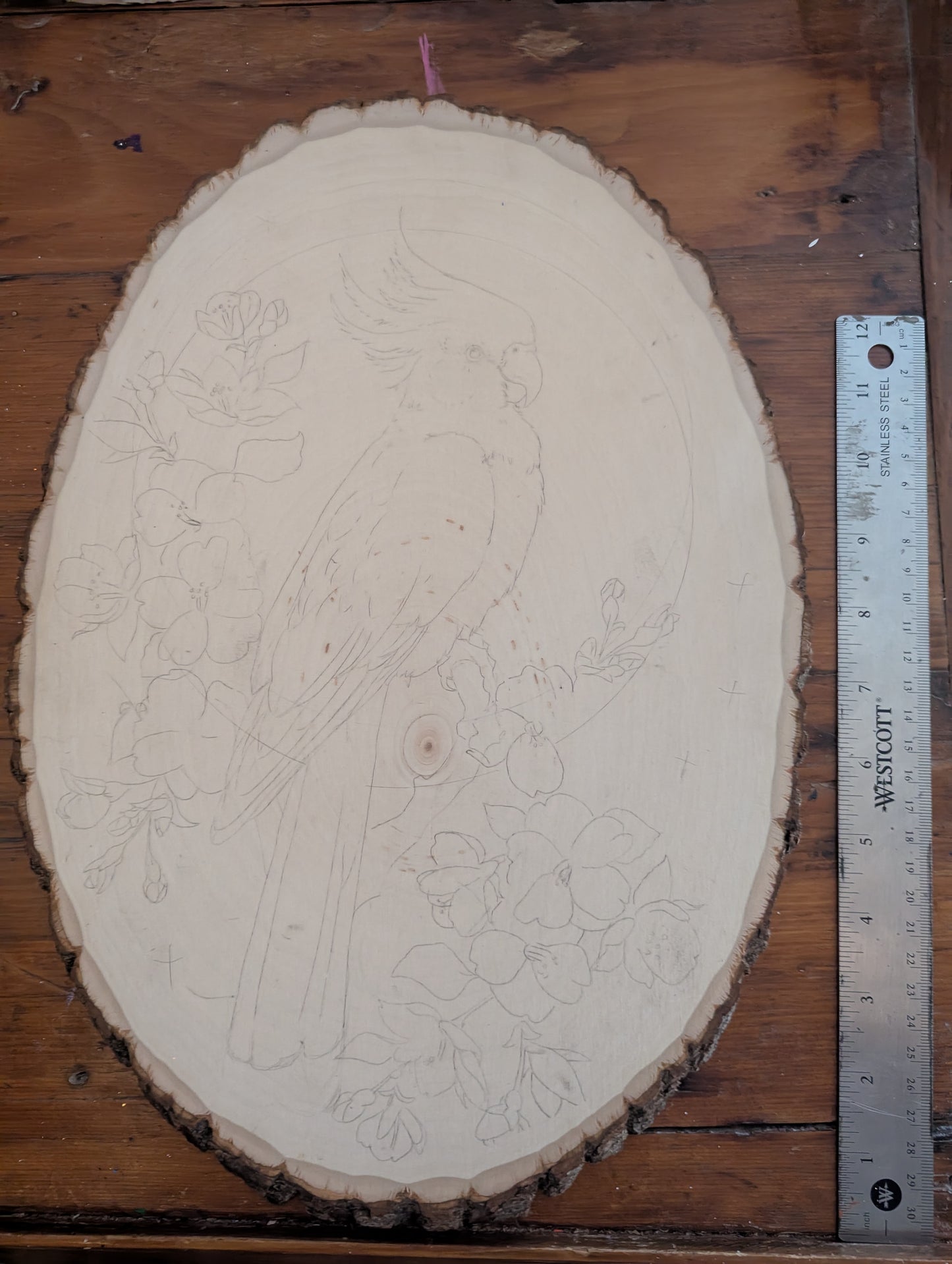 Custom Piece, Parakeet w/ Floral and Gold Paint, Pyrography on Wood Plaque