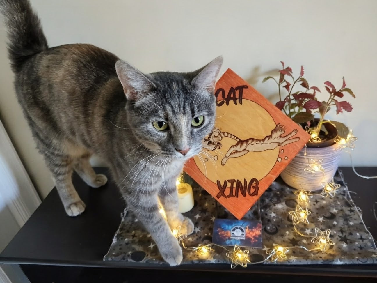 Cat - Xing Sign, Pyrography w/ Stain, Desk/Wall Art