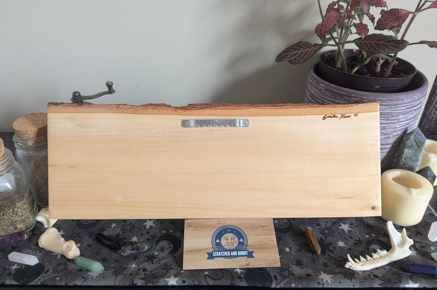 'Many Have Eaten Here, Few Have Died' w/ Mushrooms, Pyrography, Watercolors on Wood, Desk/Wall Art