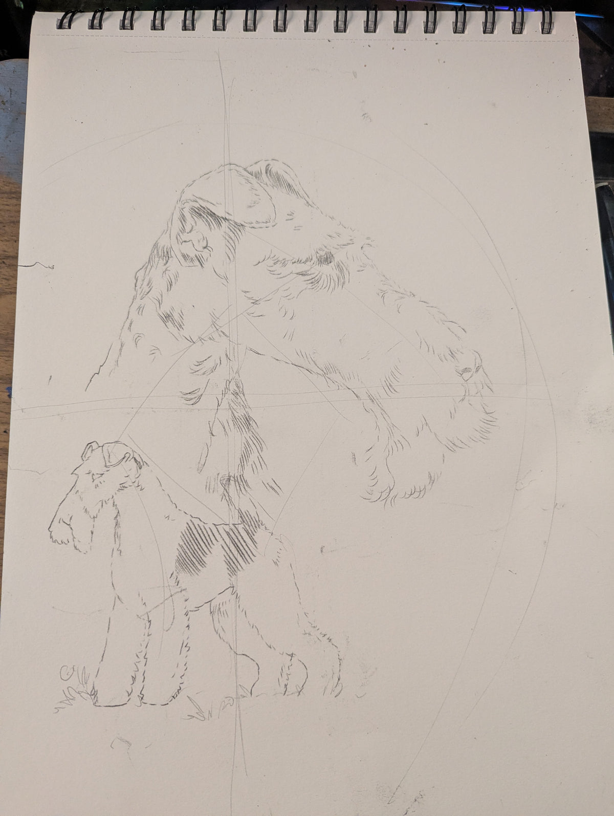 Wire Fox Terrier, Tessa. Pyrography on Basswood Slice