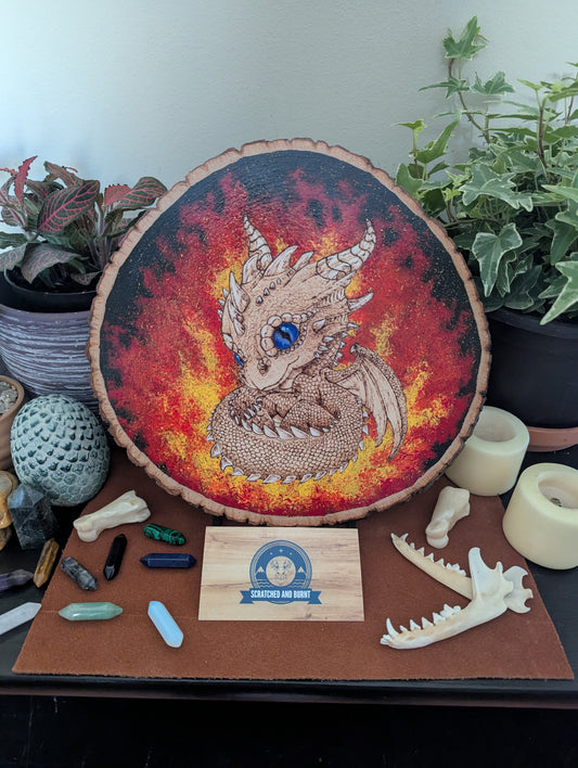 'Ember Hatchling – The Baby Dragon’s Gaze' Pyrography with Acrylics on Wood Desk/Wall Art