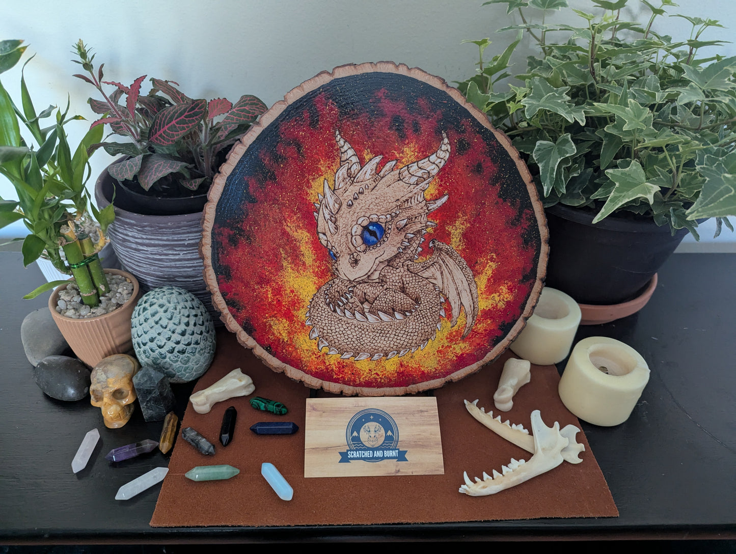 'Ember Hatchling – The Baby Dragon’s Gaze' Pyrography with Acrylics on Wood Desk/Wall Art