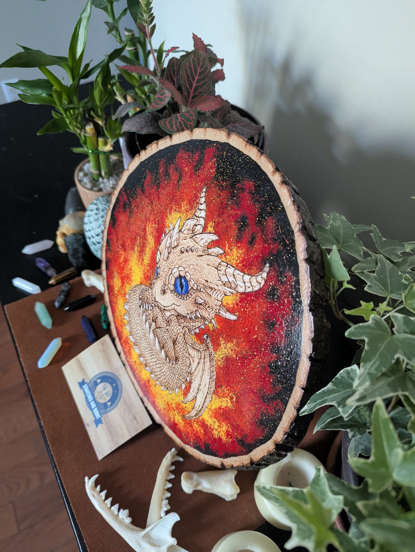 'Ember Hatchling – The Baby Dragon’s Gaze' Pyrography with Acrylics on Wood Desk/Wall Art