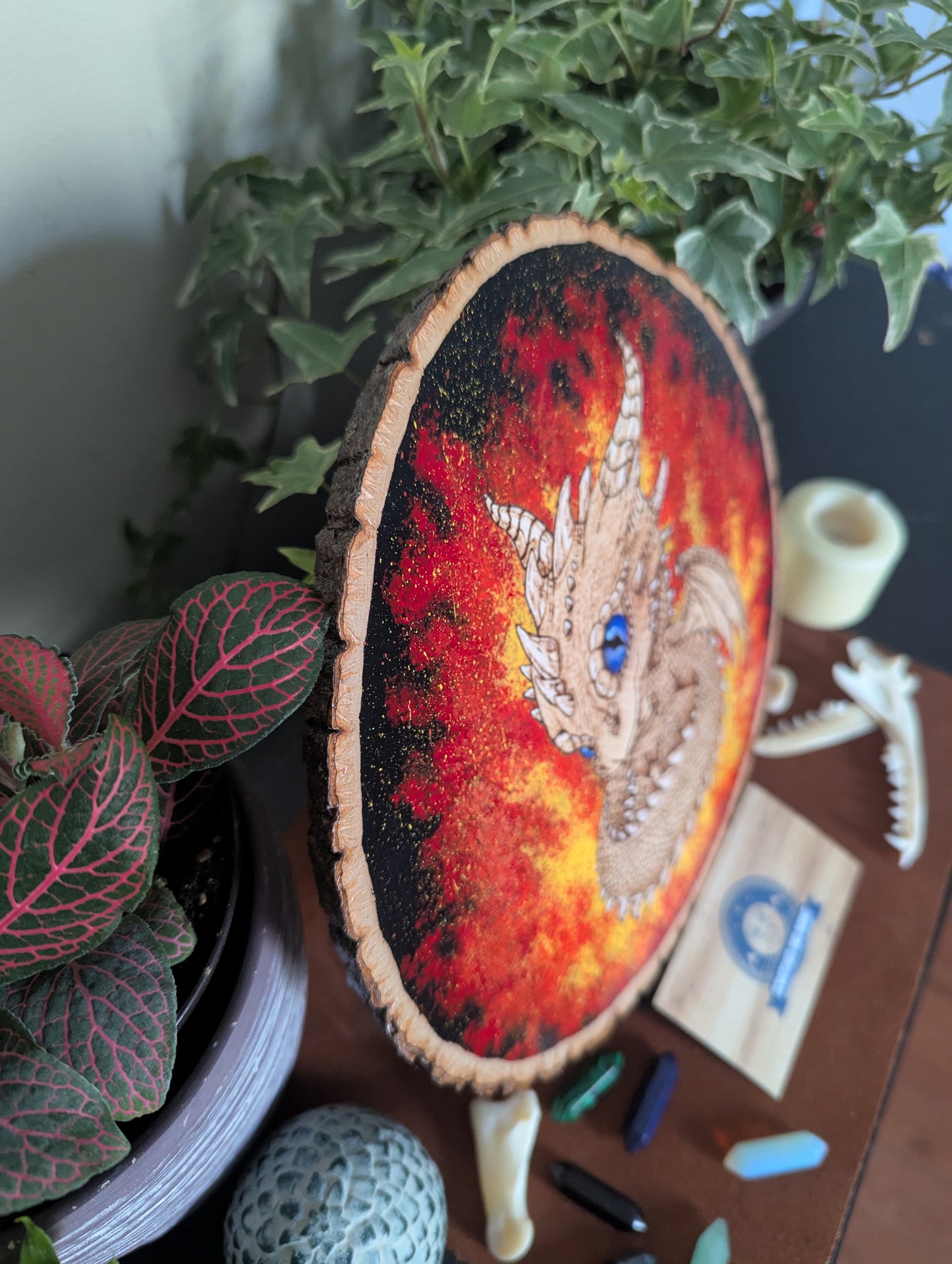 'Ember Hatchling – The Baby Dragon’s Gaze' Pyrography with Acrylics on Wood Desk/Wall Art