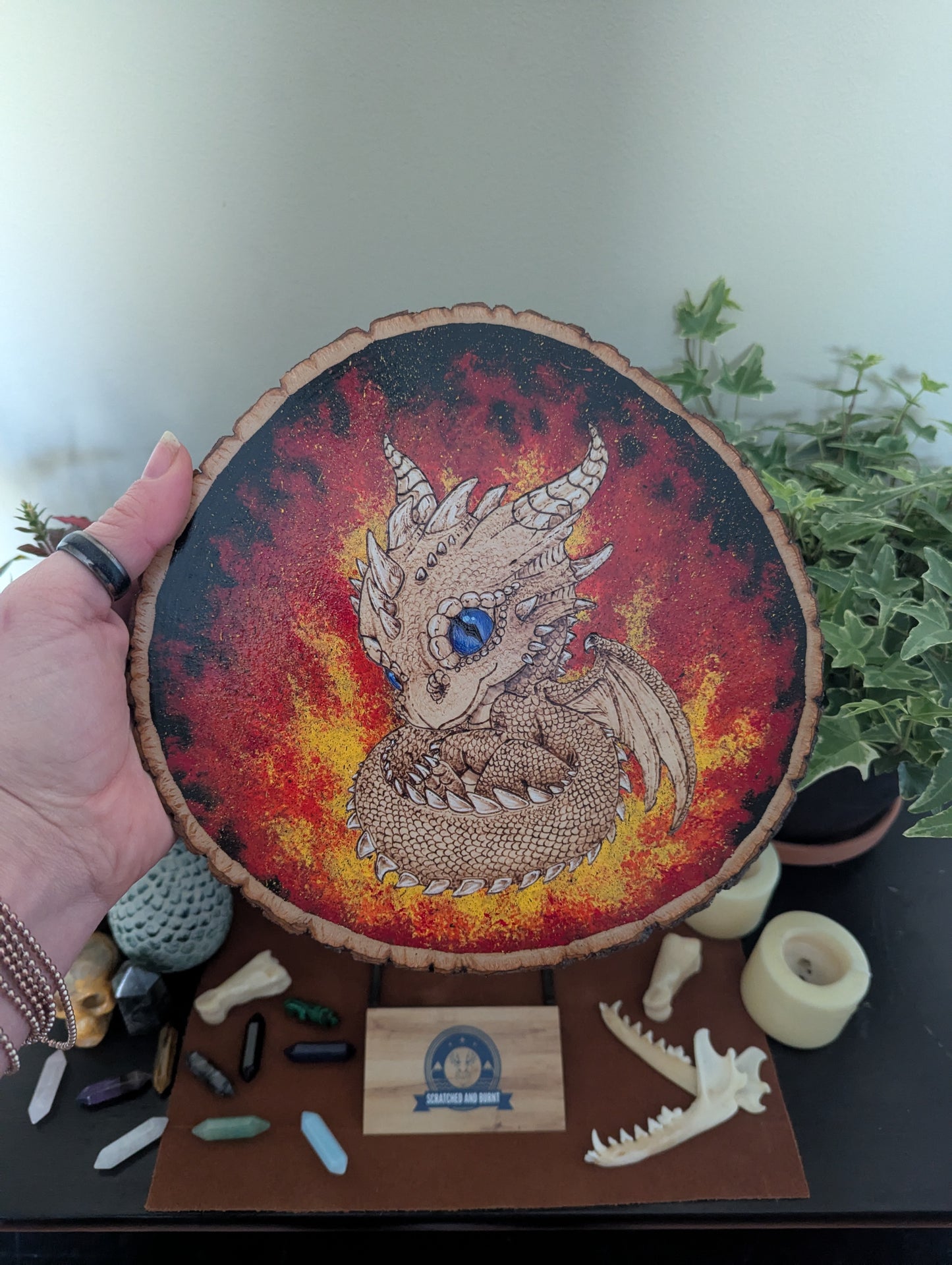 'Ember Hatchling – The Baby Dragon’s Gaze' Pyrography with Acrylics on Wood Desk/Wall Art