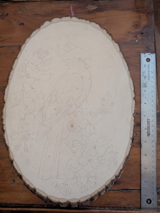 Custom Piece, Parakeet w/ Floral and Gold Paint, Pyrography on Wood Plaque