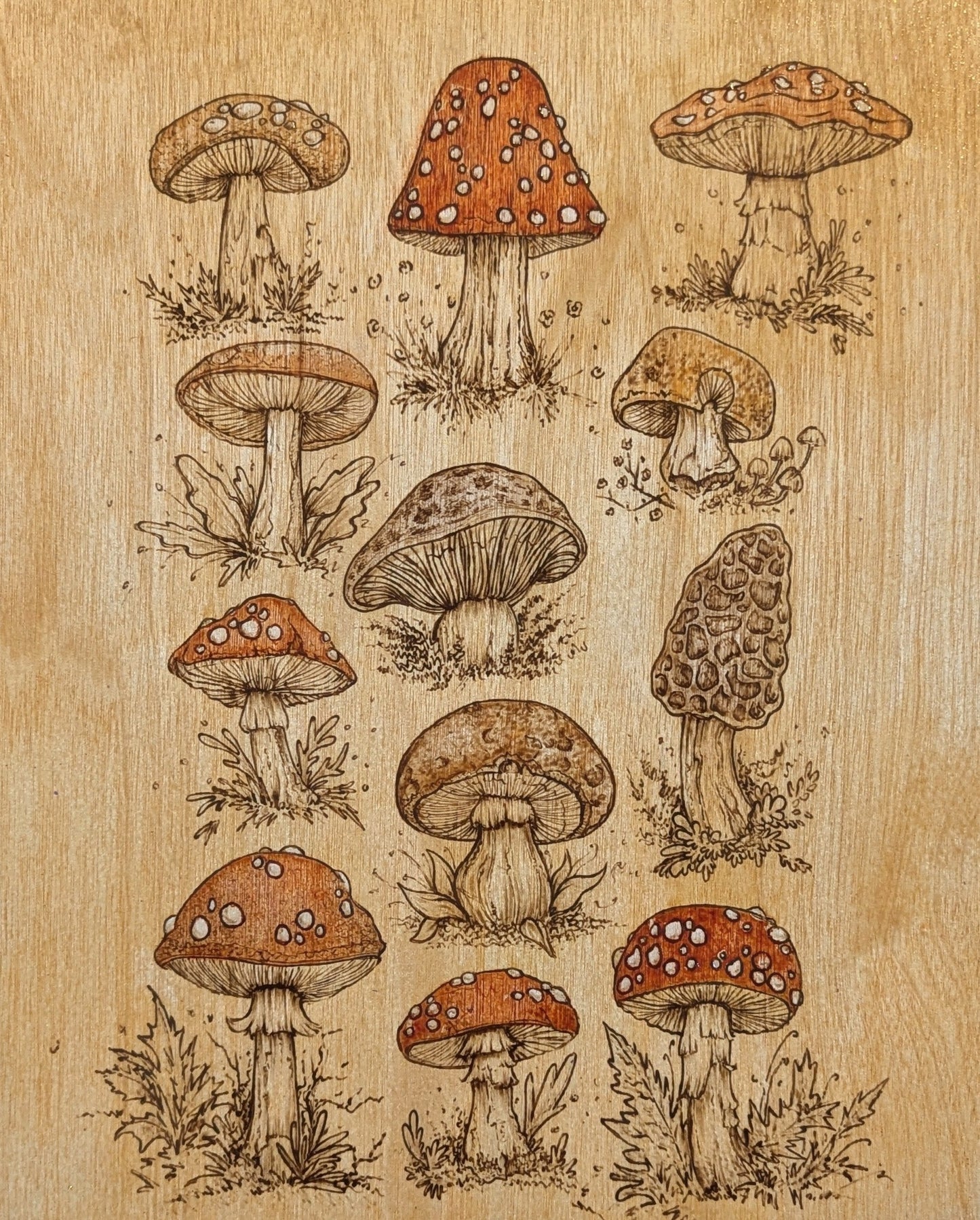 Golden Mushrooms, Pyrography w/ Colored Stains, Desk/Wall Art