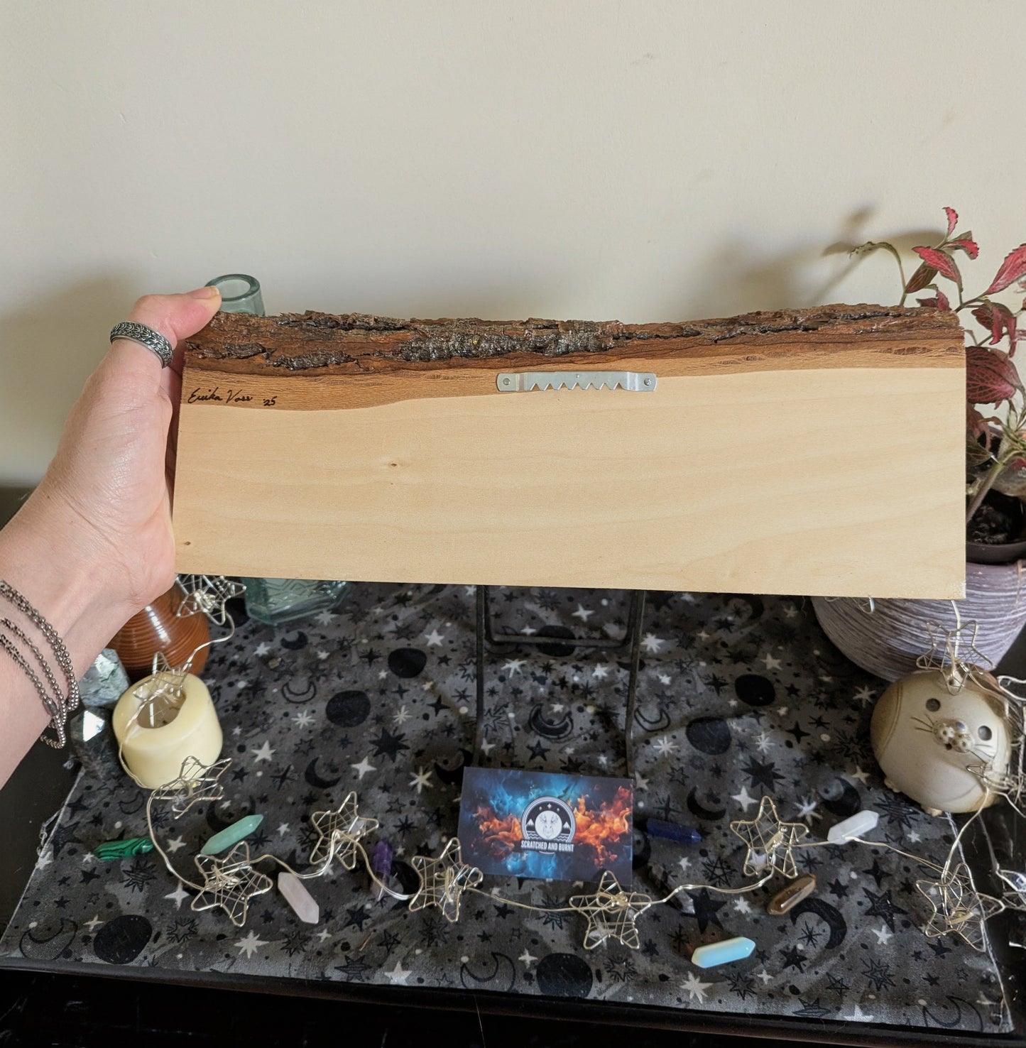 Cats in Plants, the Hanging Cat Trio, Pyrography, Watercolors on Wood, Desk/Wall Art