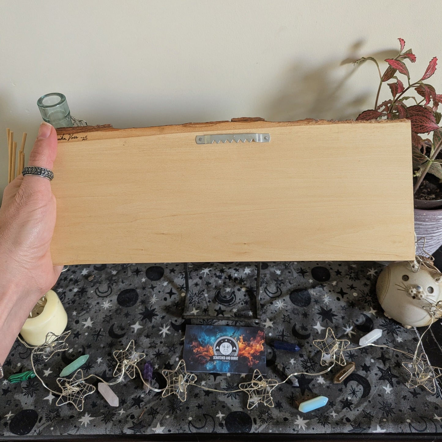 Cats in Plants, the Hanging Cat Trio, Pyrography, Watercolors on Wood, Desk/Wall Art