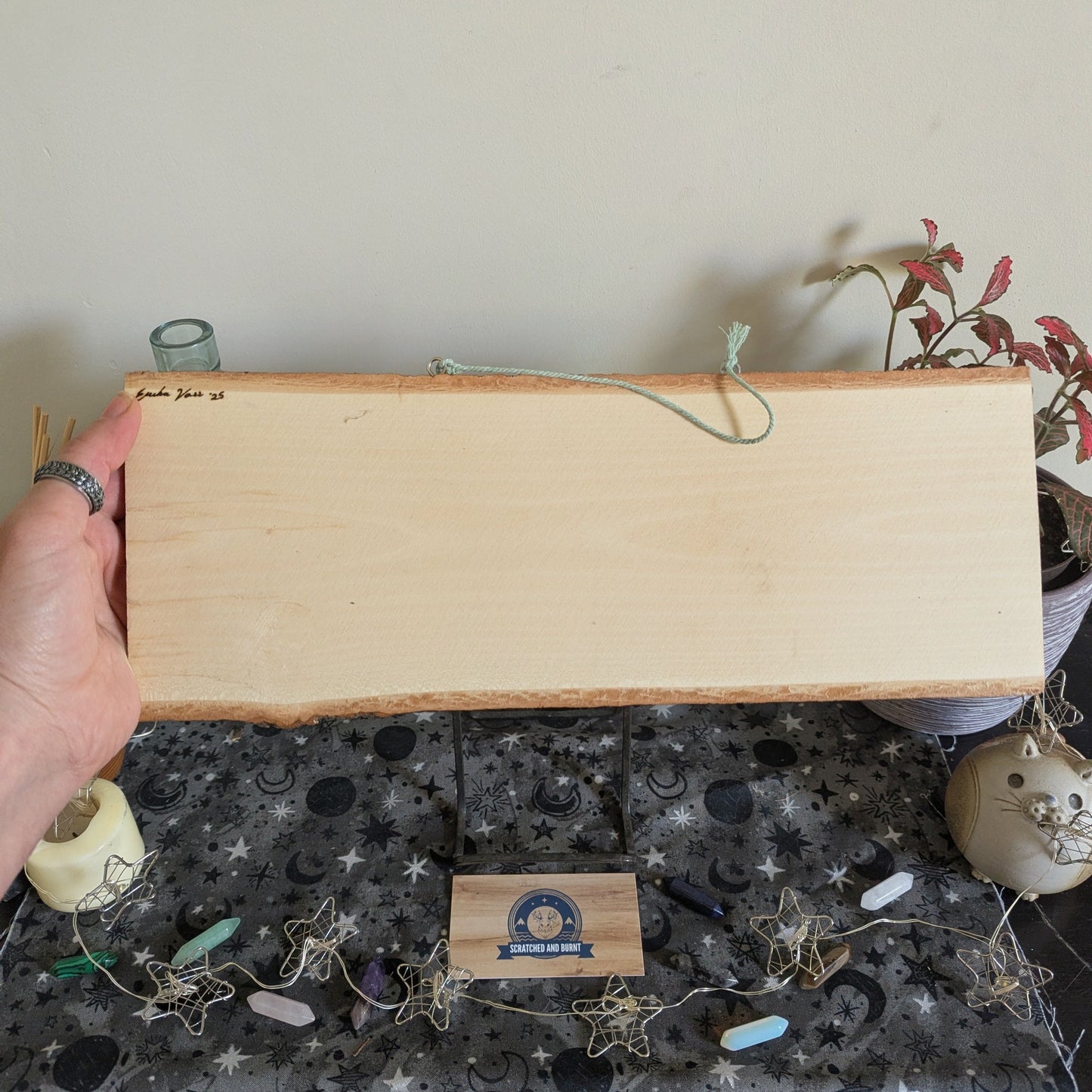 Cats in Plants, the Hanging Cat Trio, Pyrography, Watercolors on Wood, Desk/Wall Art