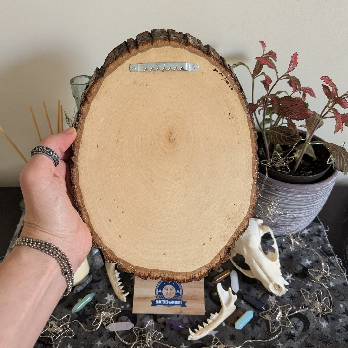 'Teeth, Leaves, and Probably Magic',  Pyrography, Acrylics on Wood, Desk/Wall Art