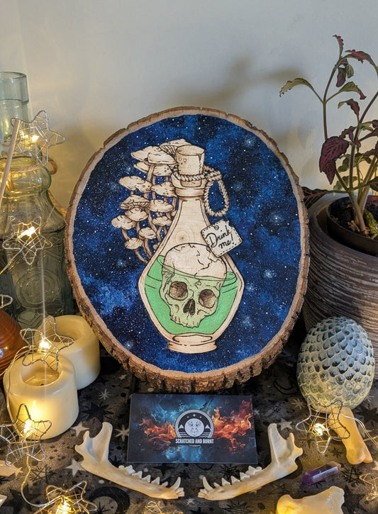 'Skull Tonic',  Pyrography, Acrylics on Wood, Desk/Wall Art