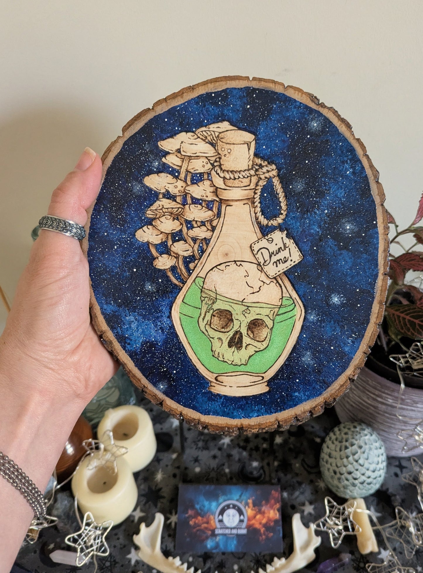 'Skull Tonic',  Pyrography, Acrylics on Wood, Desk/Wall Art