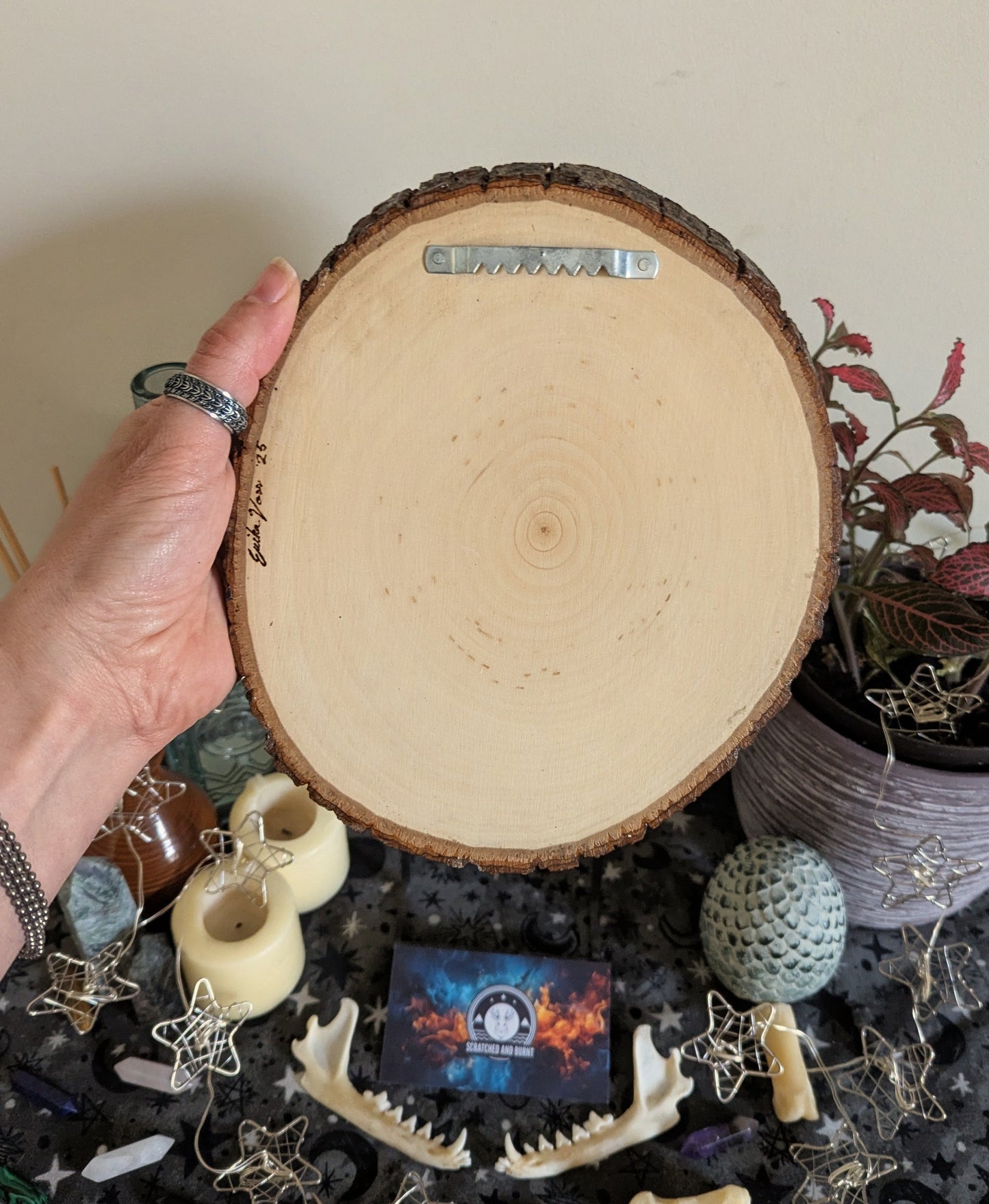 'Skull Tonic',  Pyrography, Acrylics on Wood, Desk/Wall Art