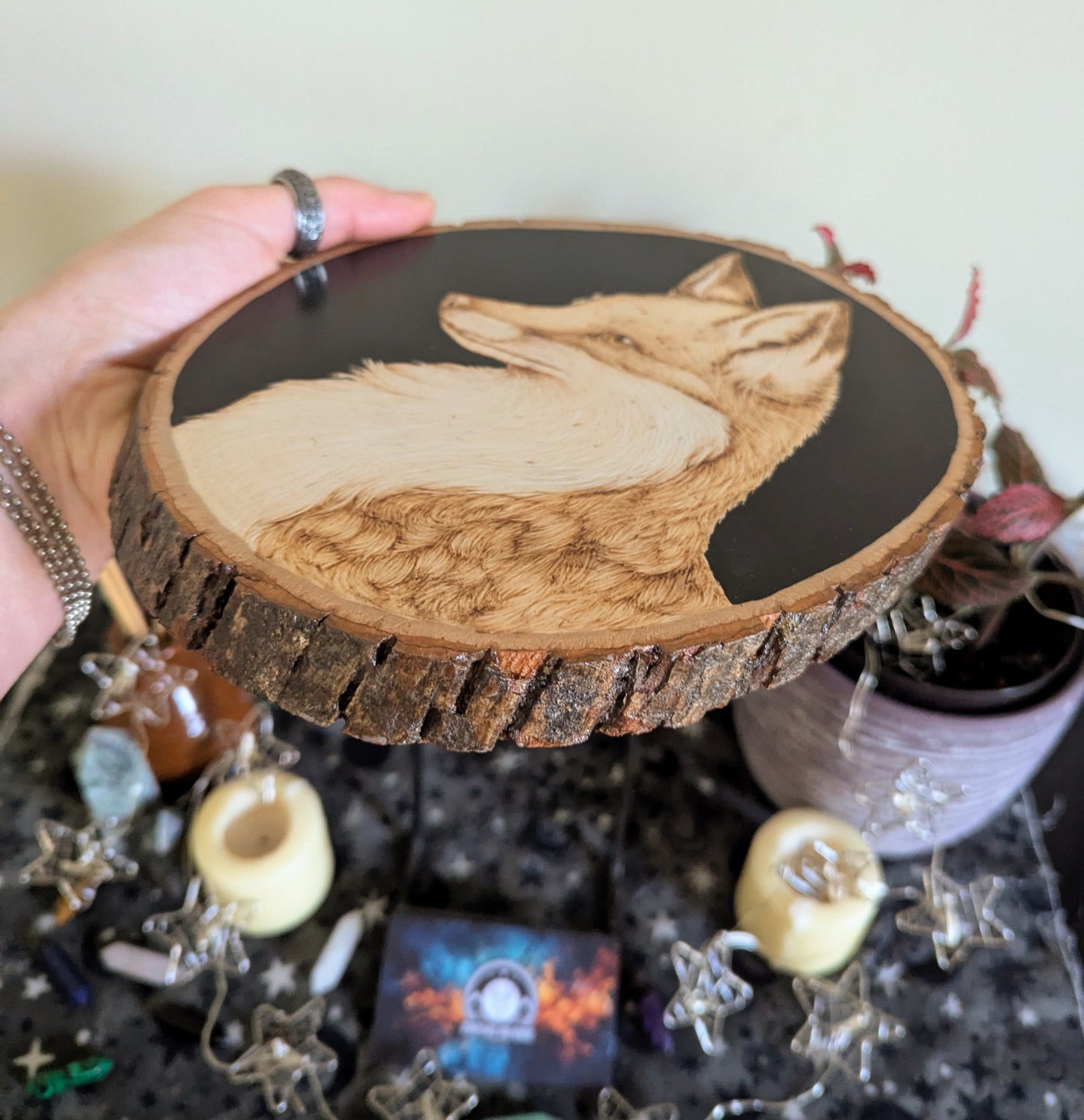 'Fox in Focus', Pyrography on Basswood, Desk/Wall Art