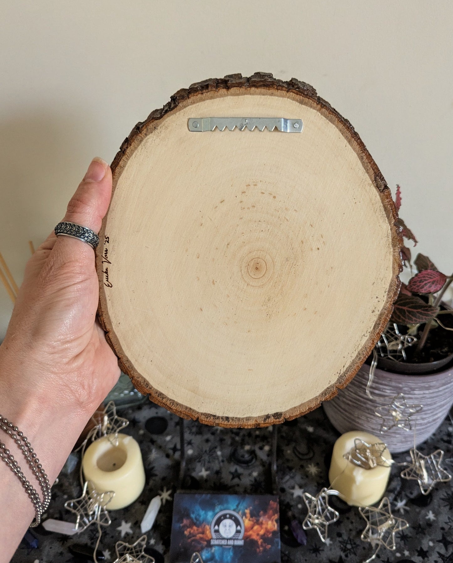 'Fox in Focus', Pyrography on Basswood, Desk/Wall Art