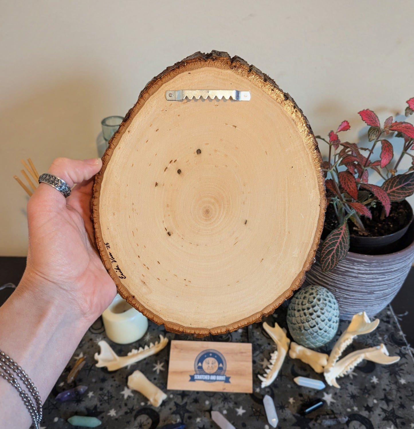 'Celestial Dragon Flight' Pyrography with Acrylics on Wood, Desk/Wall Art